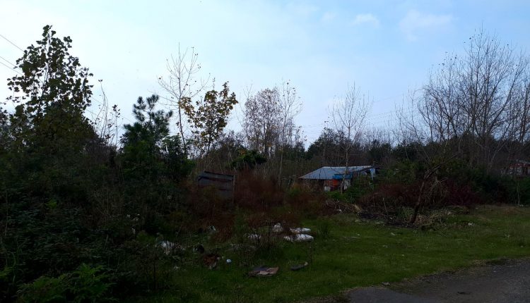 مناطق محروم بندرانزلی