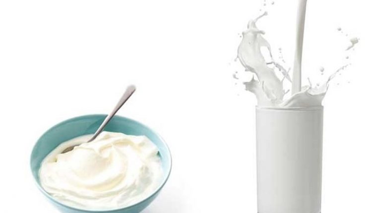 خبر لبنیات آلوده در گیلان
