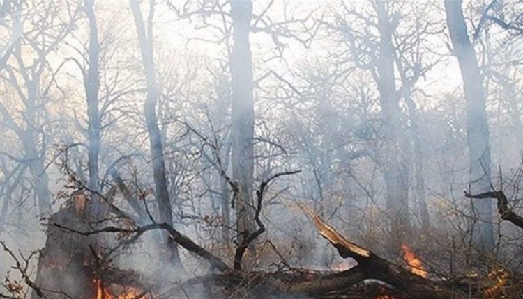 آتش سوزی تالش