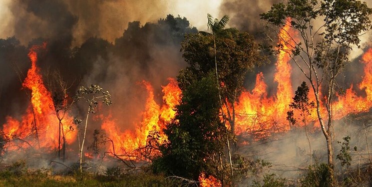 آتش سوزی در جنگلهای گیلان