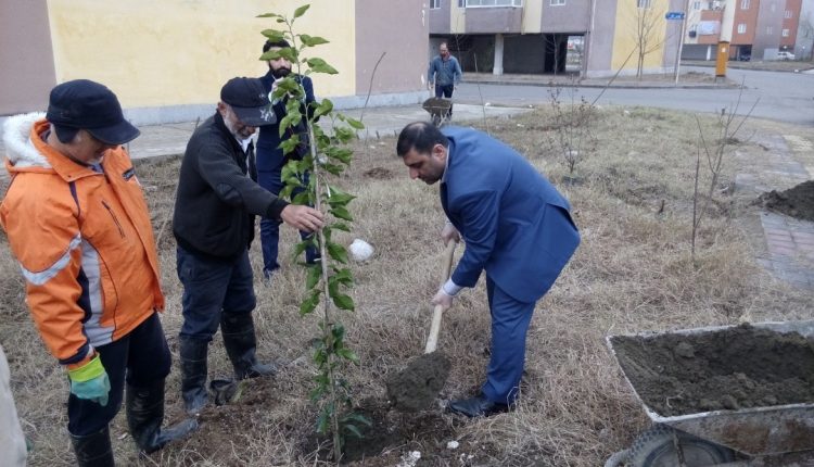 روز درختکاری در رشت