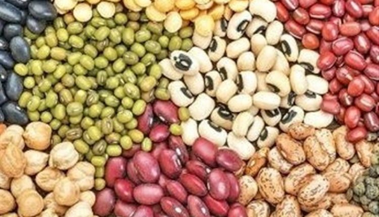 حبوبات در گیلان