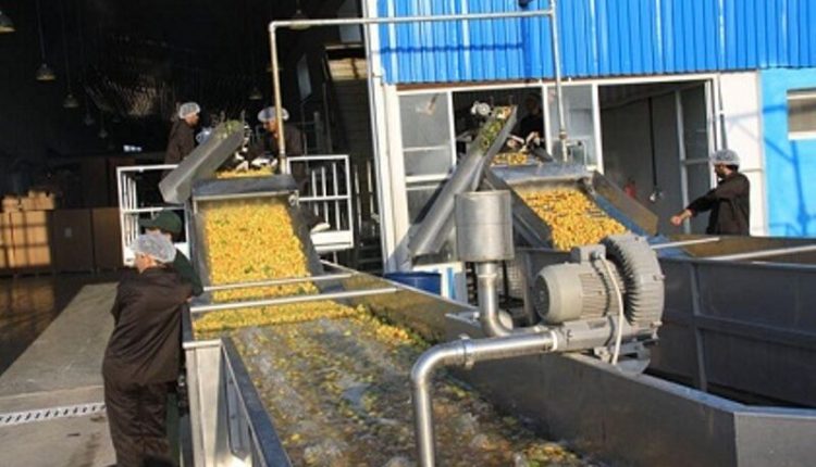 صنایع تبدیلی گیلان