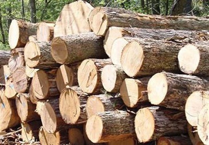 ممنوعیت قطع درختان