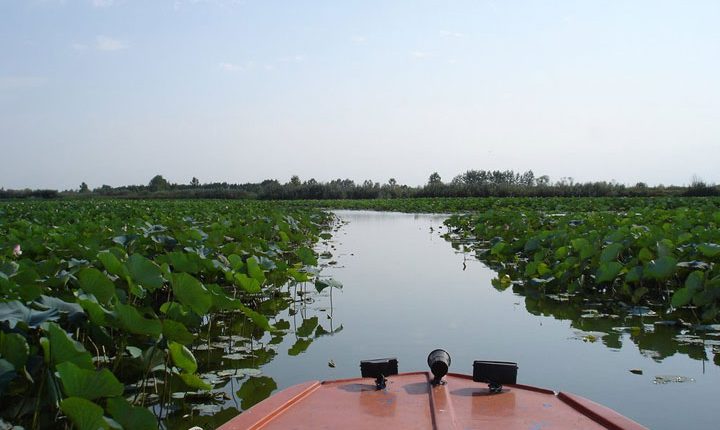 تالاب-انزلی-1